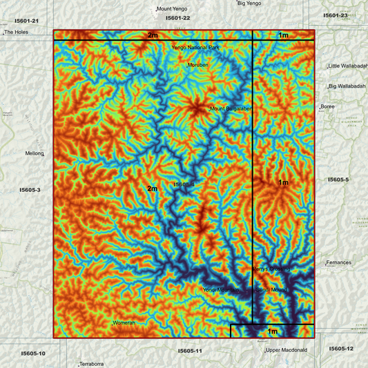 Bala 1m & 2m Digital Elevation Models (I5605-4)