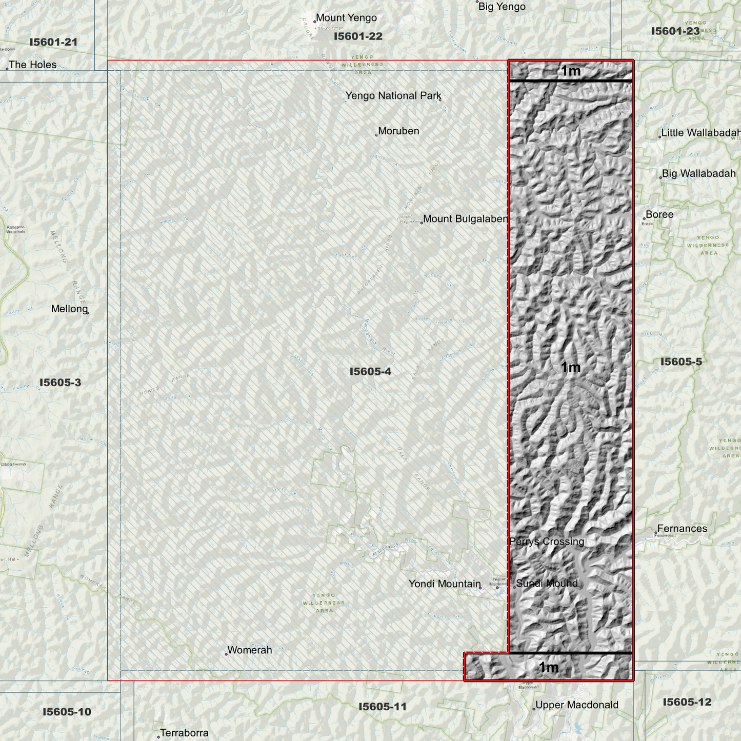 Bala 1m & 2m Digital Elevation Models (I5605-4)