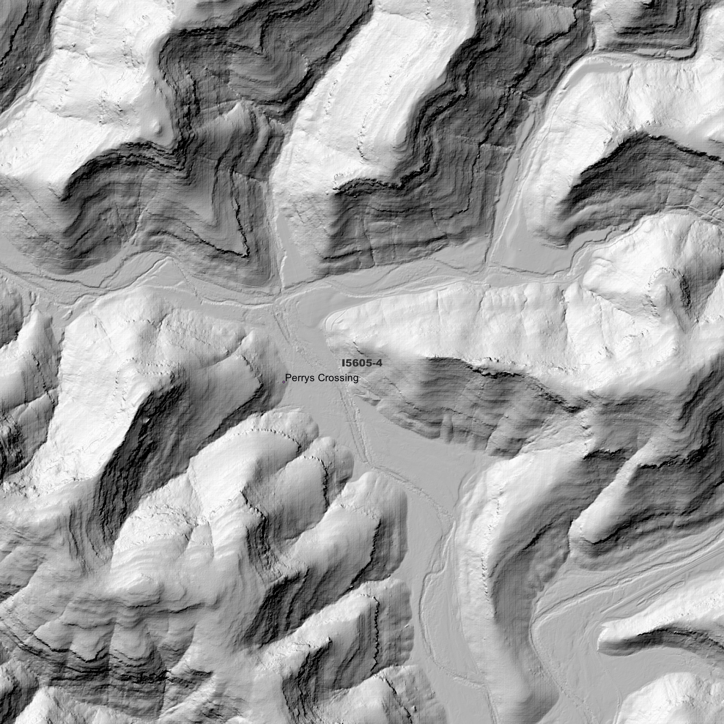 Bala 1m & 2m Digital Elevation Models (I5605-4)