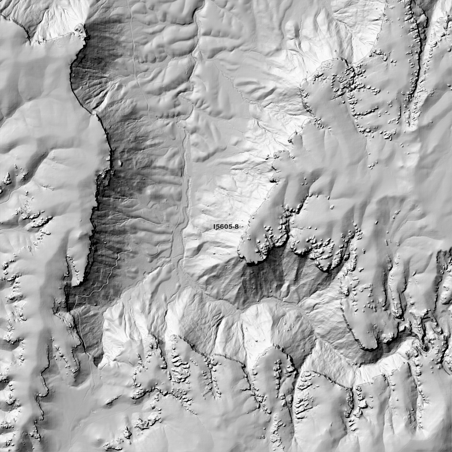 Wallerawang 1m & 2m Digital Elevation Models (I5605-8)