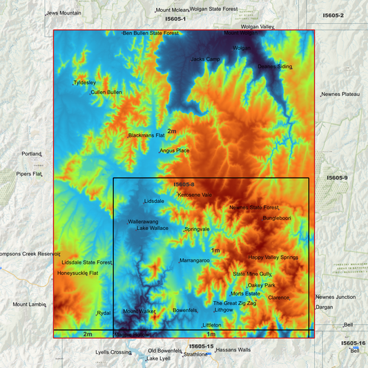 Wallerawang 1m & 2m Digital Elevation Models (I5605-8)