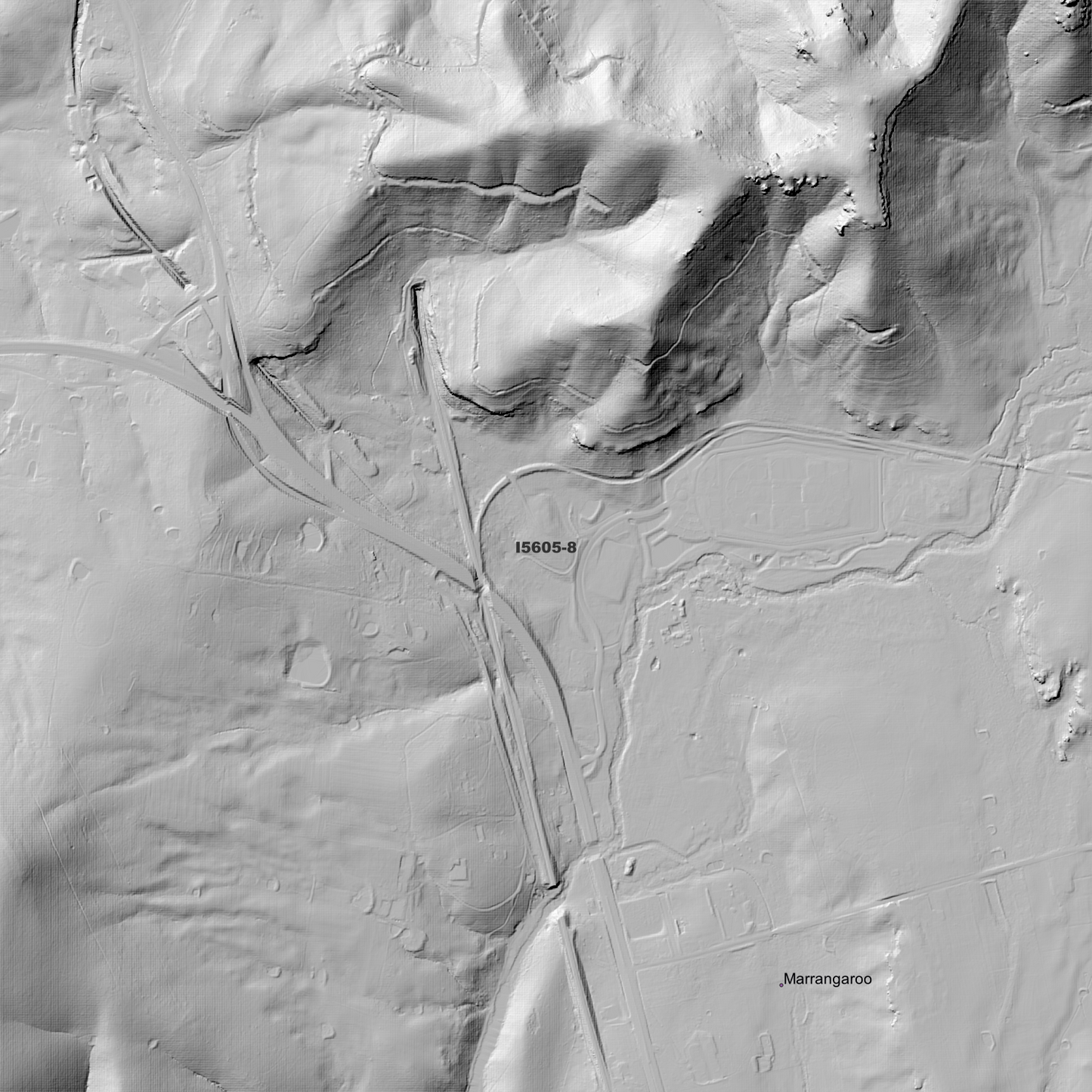 Wallerawang 1m & 2m Digital Elevation Models (I5605-8)