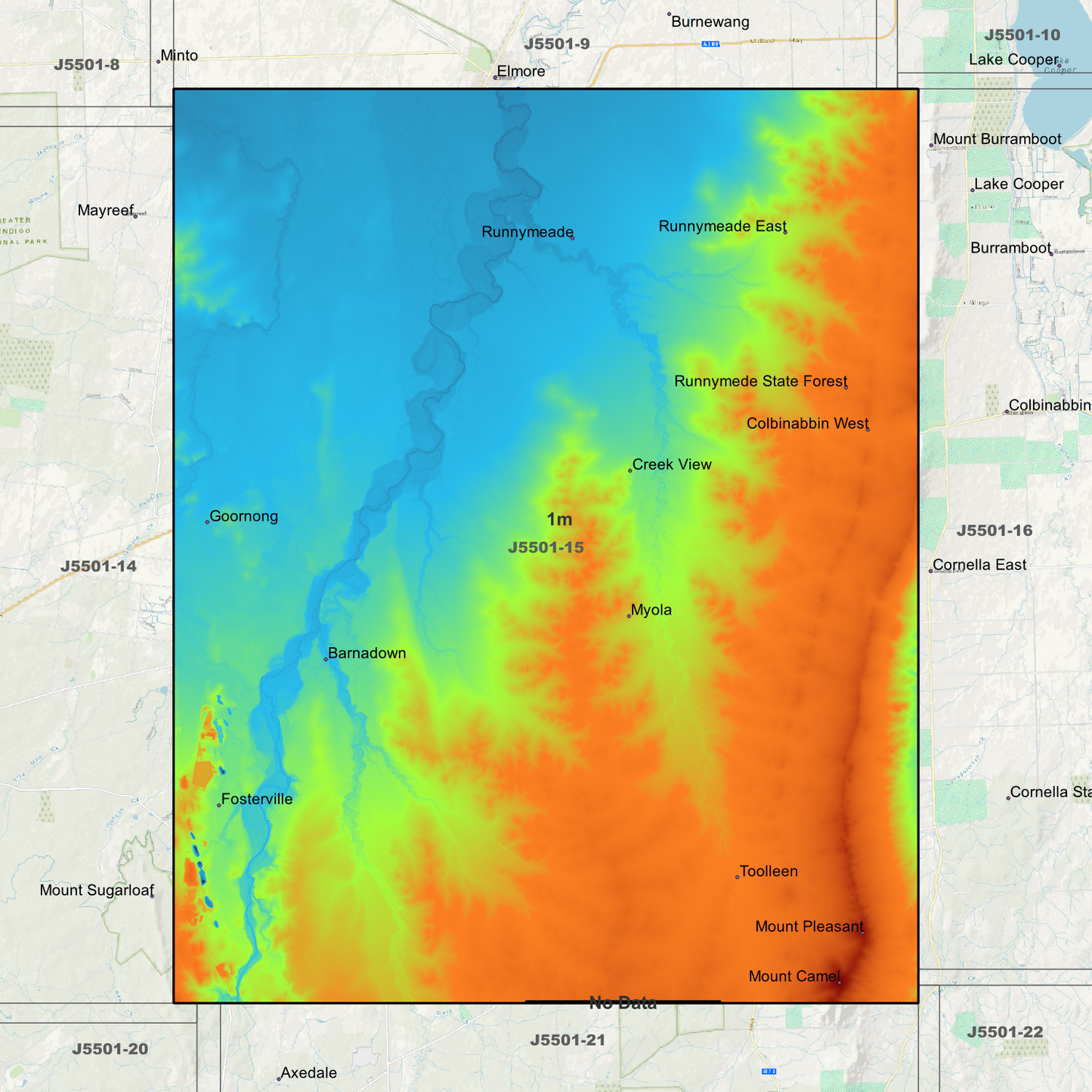 Runnymede 1m Digital Elevation Models (J5501-15)