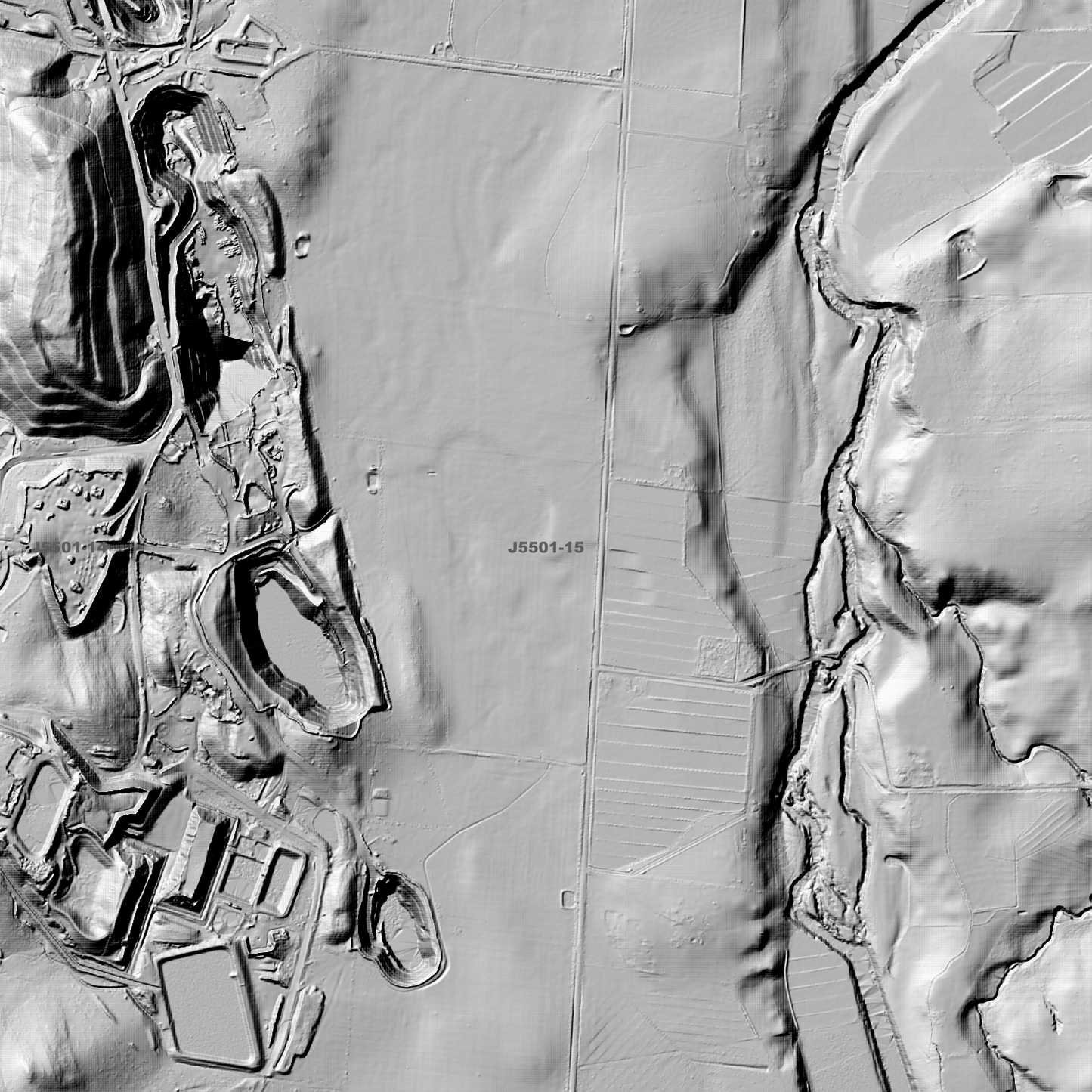 Runnymede 1m Digital Elevation Models (J5501-15)