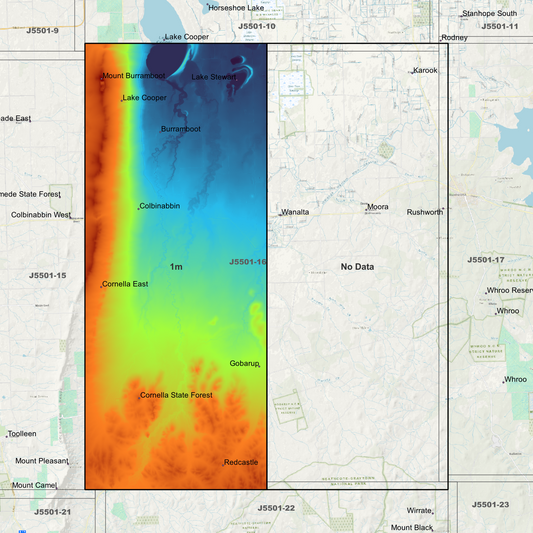 Wanalta 1m Digital Elevation Models (J5501-16)
