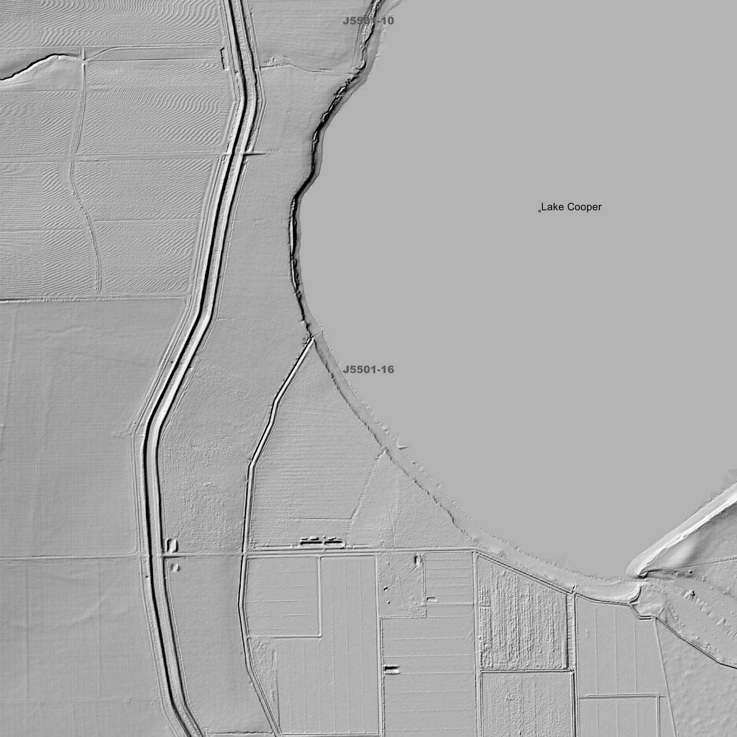 Wanalta 1m Digital Elevation Models (J5501-16)