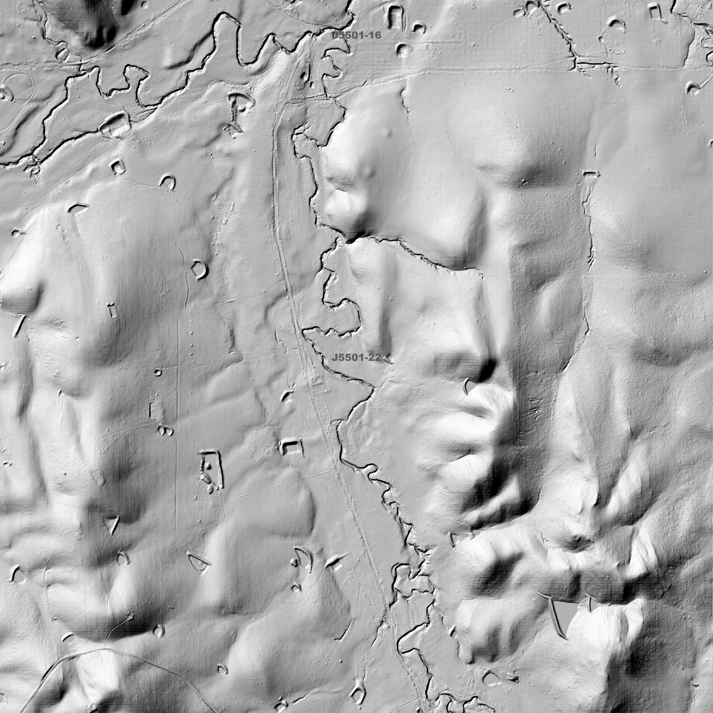 Graytown 1m Digital Elevation Models (J5501-22)