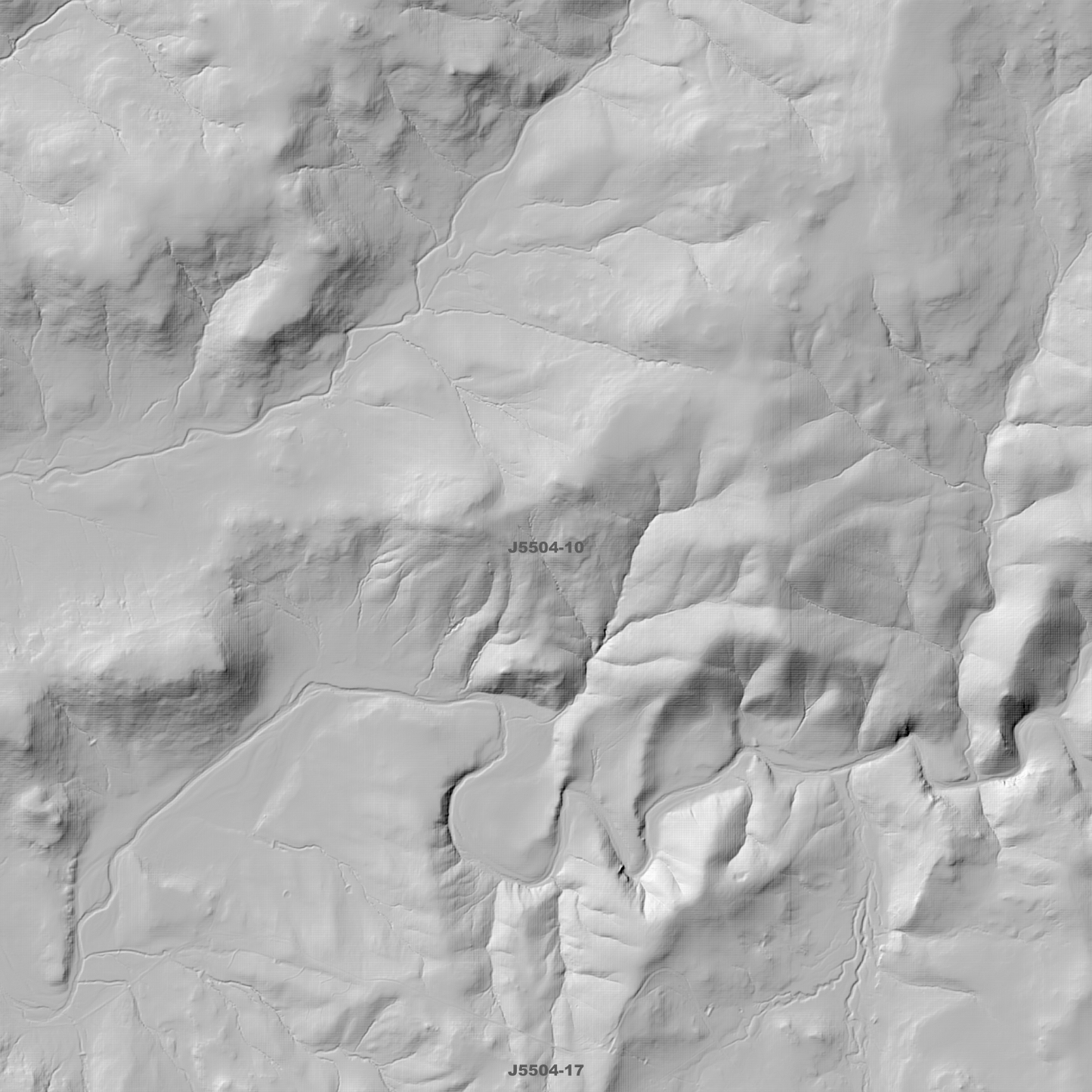 Myalla 1m & 2m Digital Elevation Models (J5504-10)