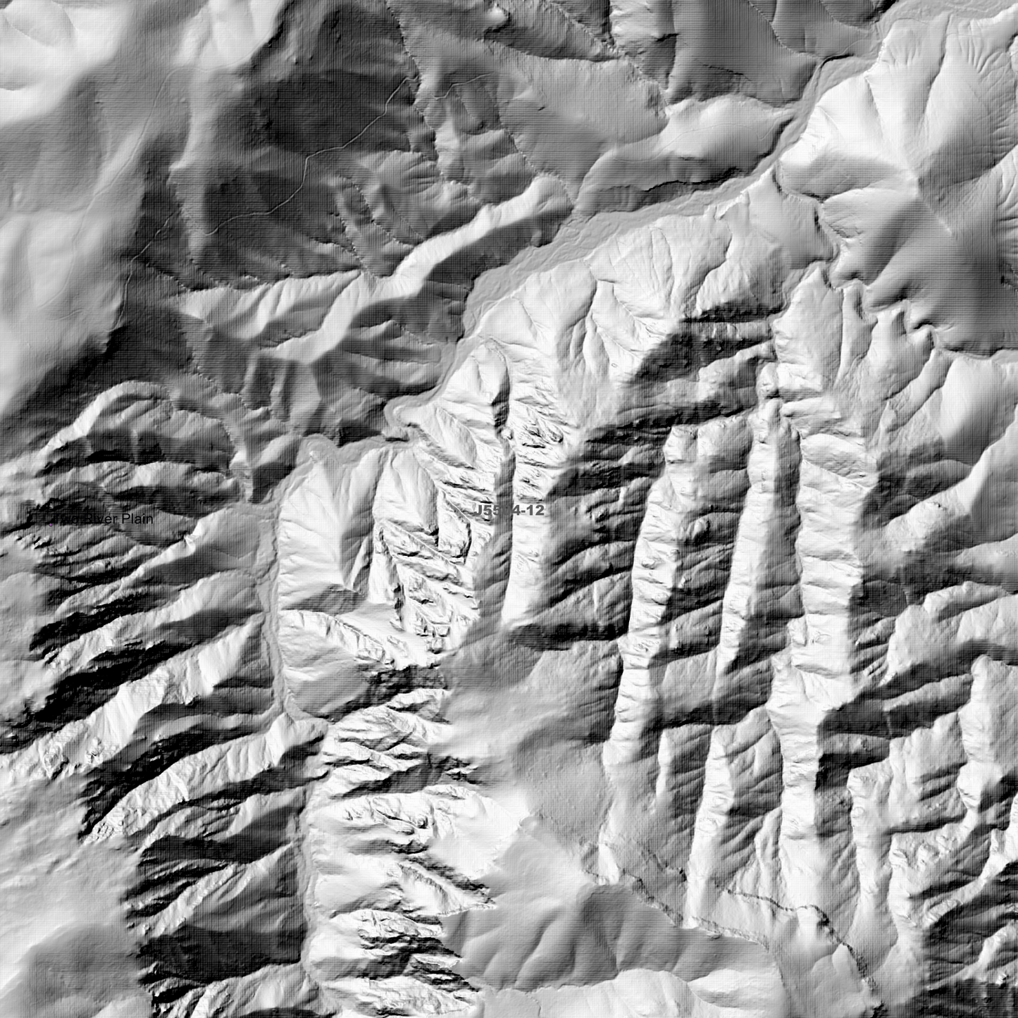 Two Rivers Plain 2m Digital Elevation Models (J5504-12)