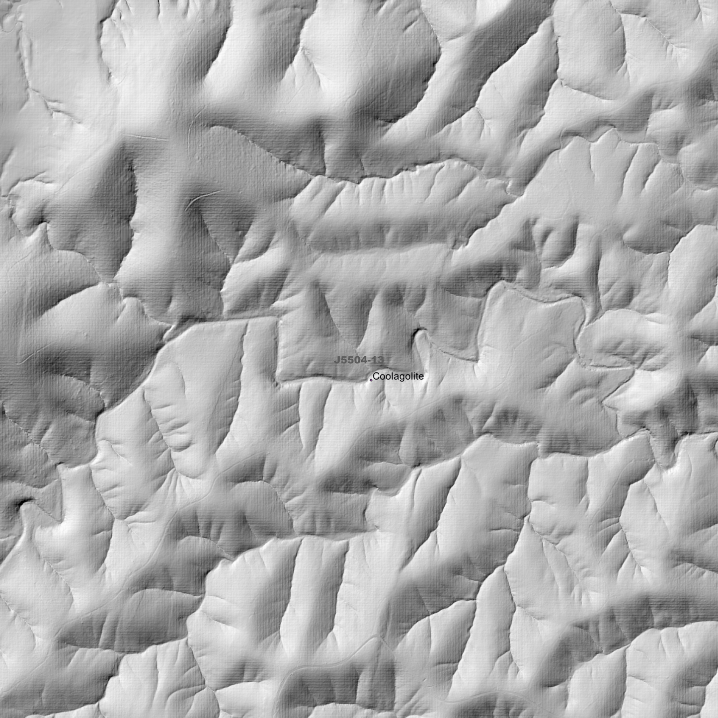 Cobargo 1m & 2m Digital Elevation Models (J5504-13)