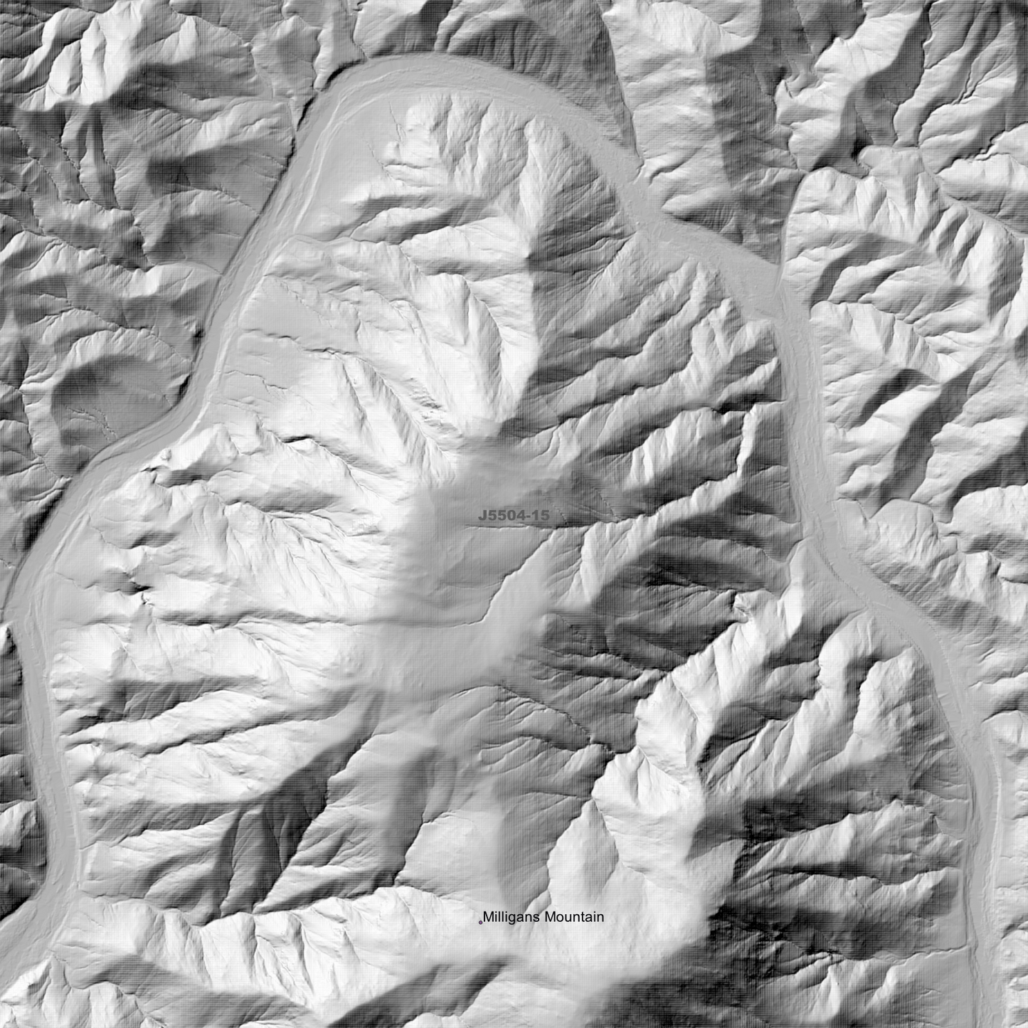 Paupong 2m Digital Elevation Models (J5504-15)
