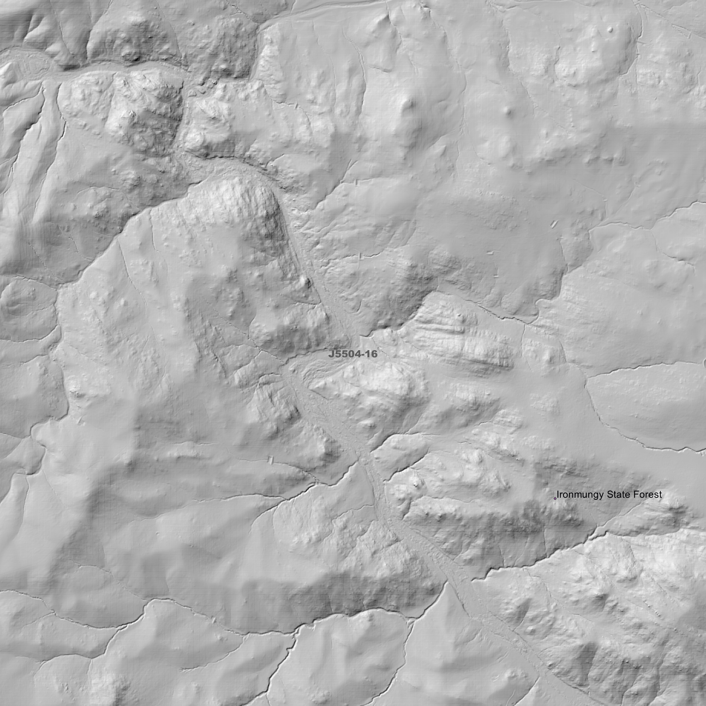 Dalgety 2m Digital Elevation Models (J5504-16)