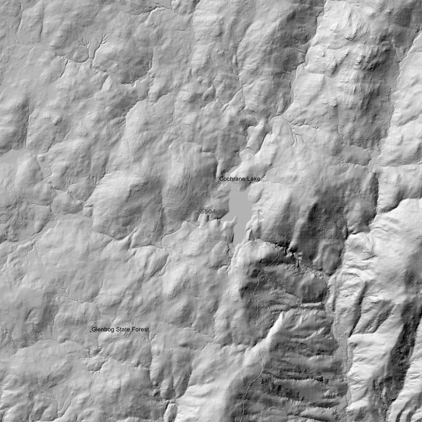 Nimmitabel 2m Digital Elevation Models (J5504-18)