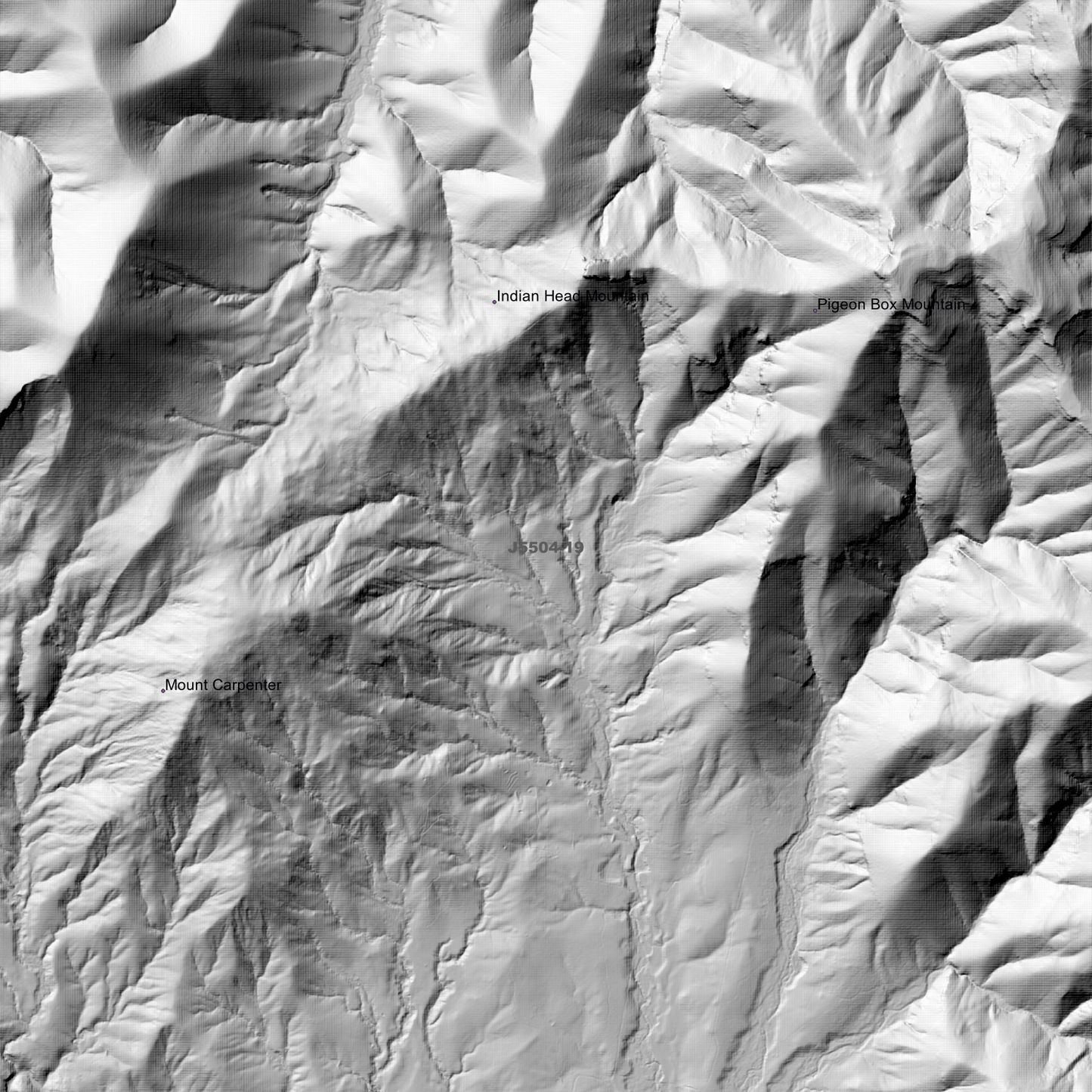 Bemboka 2m Digital Elevation Models (J5504-19)