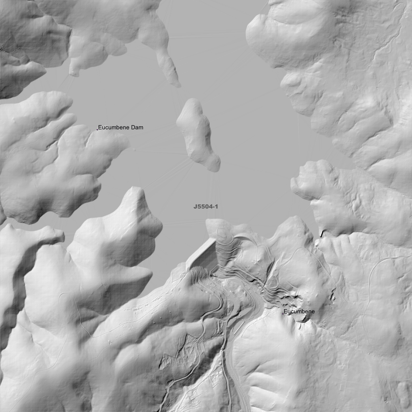 Eucumbene 1m & 2m Digital Elevation Models (J5504-1)