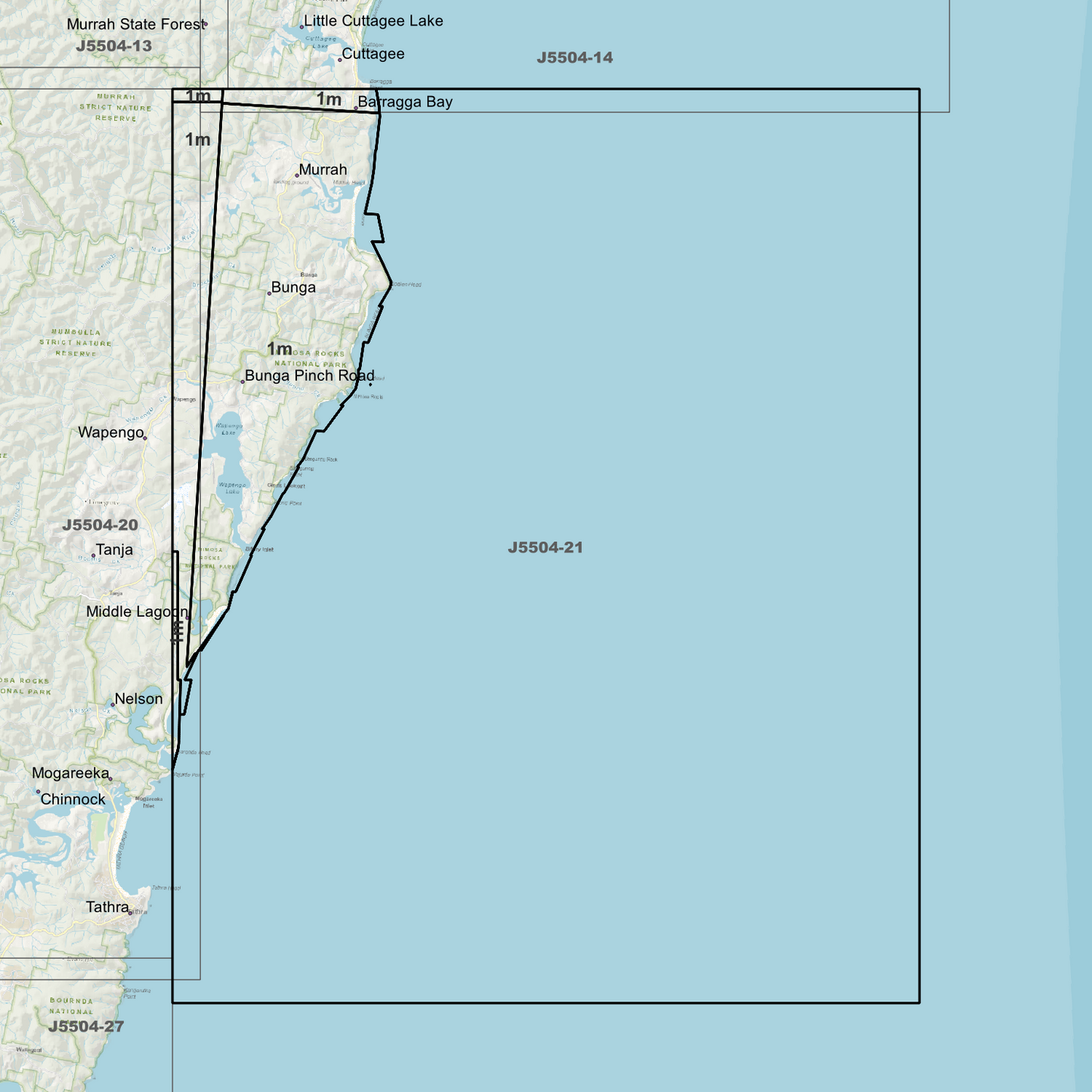 Bunga 1m Digital Elevation Models (J5504-21)