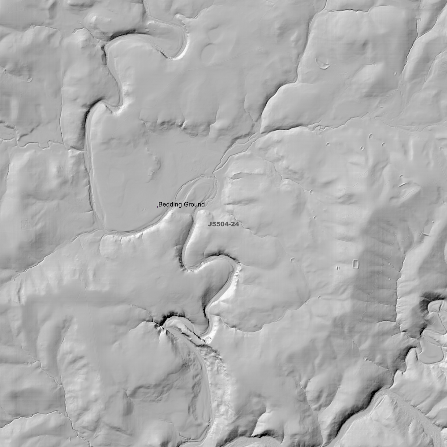 Bombala 2m Digital Elevation Models (J5504-24)