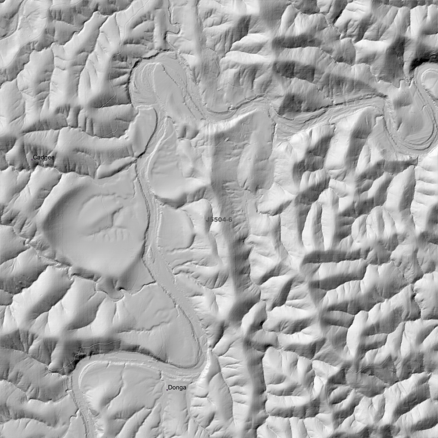 Cadgee 1m & 2m Digital Elevation Models (J5504-6)