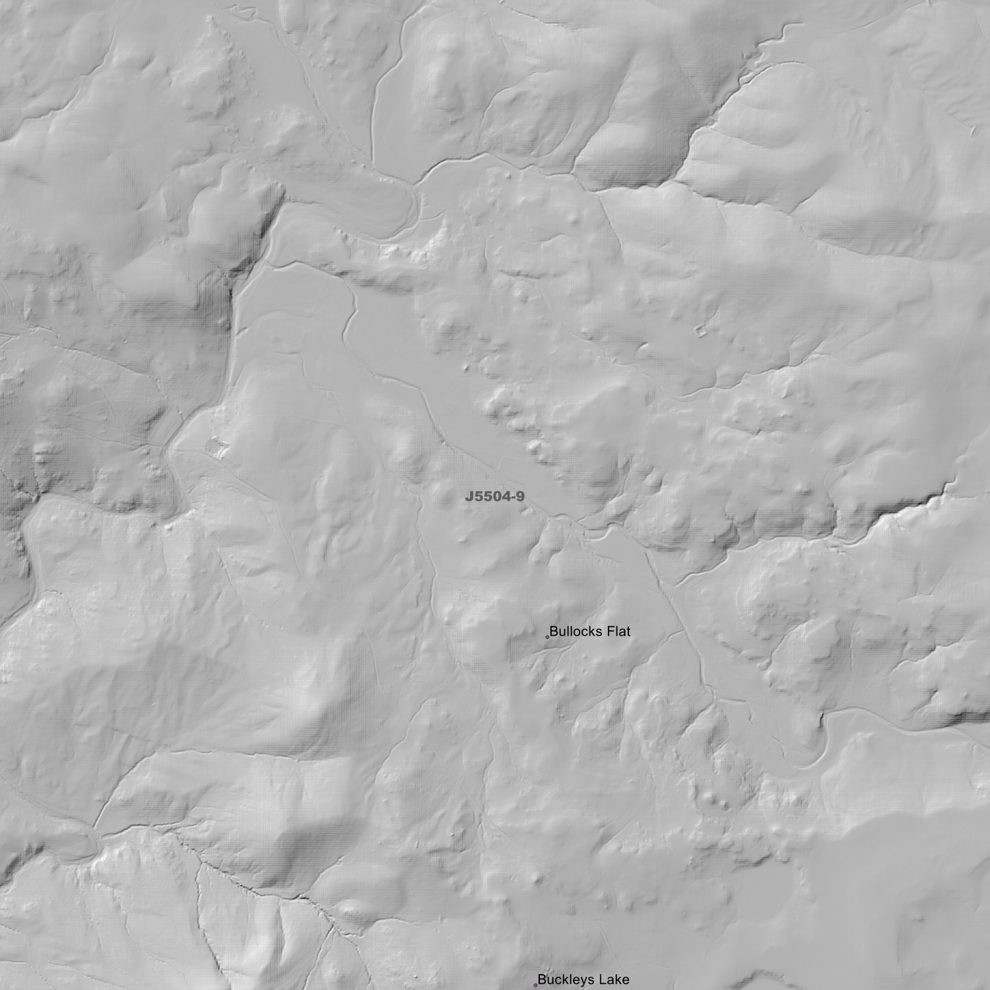 Berridale 1m & 2m Digital Elevation Models (J5504-9)