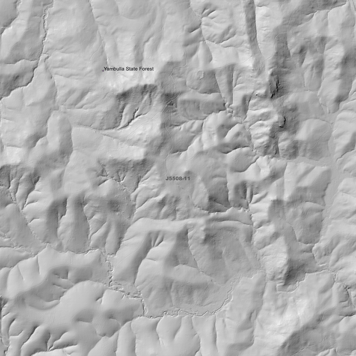 Timbillica 1m & 2m Digital Elevation Models (J5508-11)