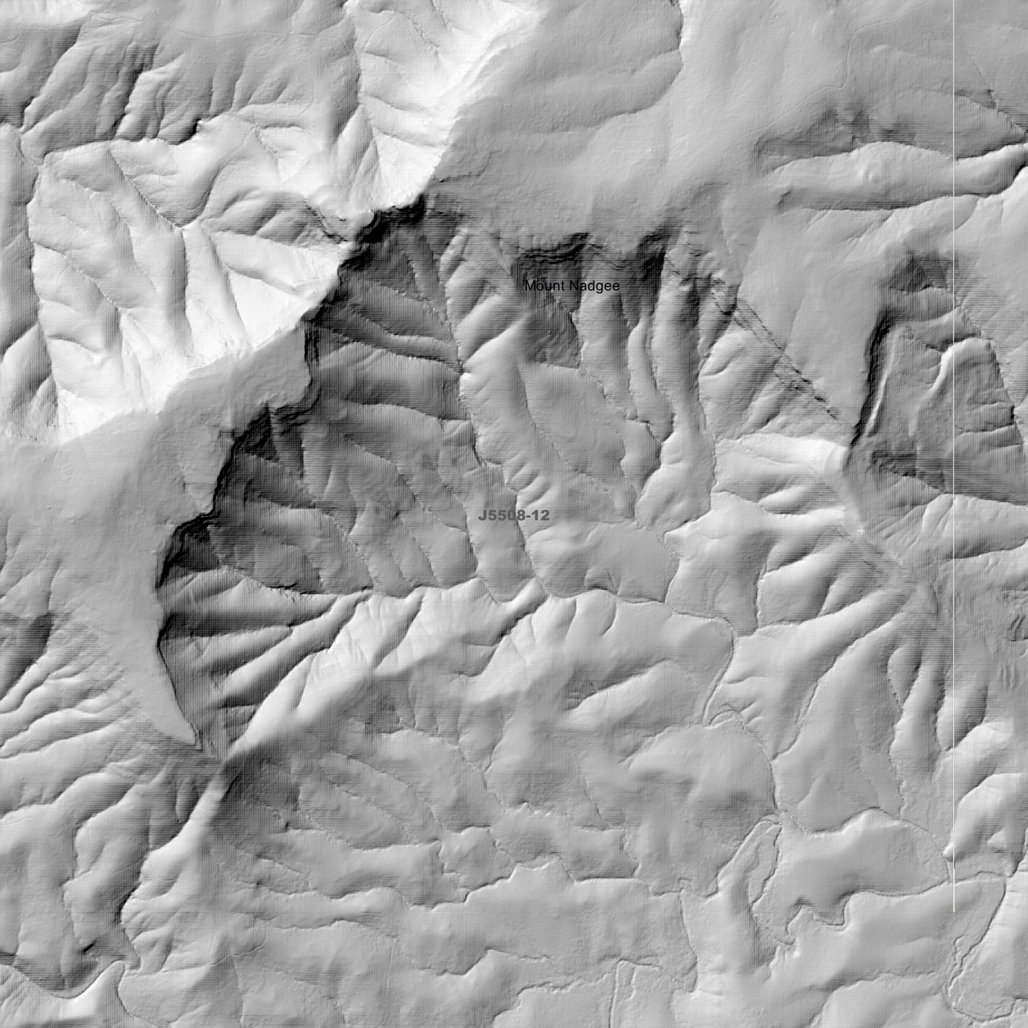 Nadgee 1m & 2m Digital Elevation Models (J5508-12)