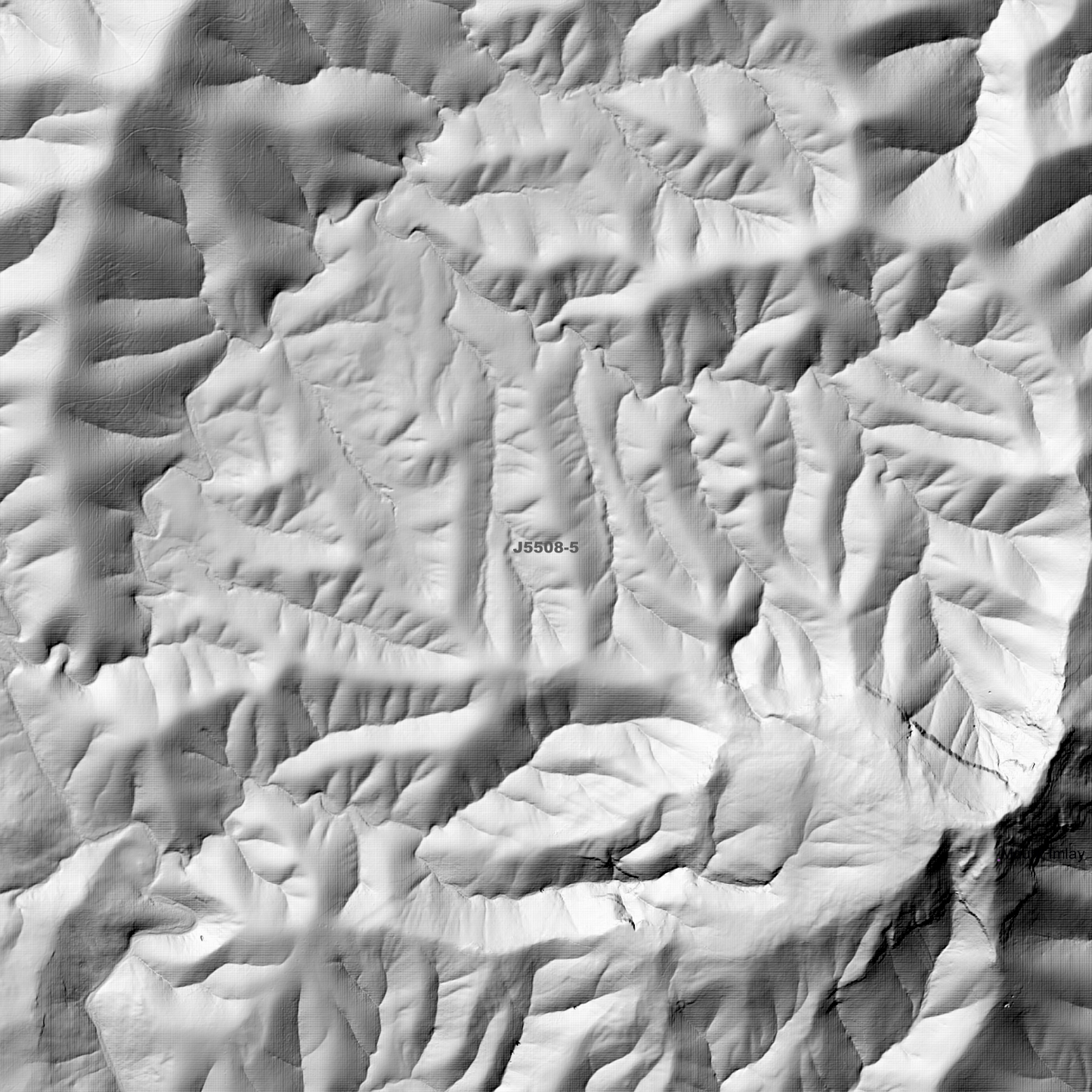 Towamba 1m & 2m Digital Elevation Models (J5508-5)