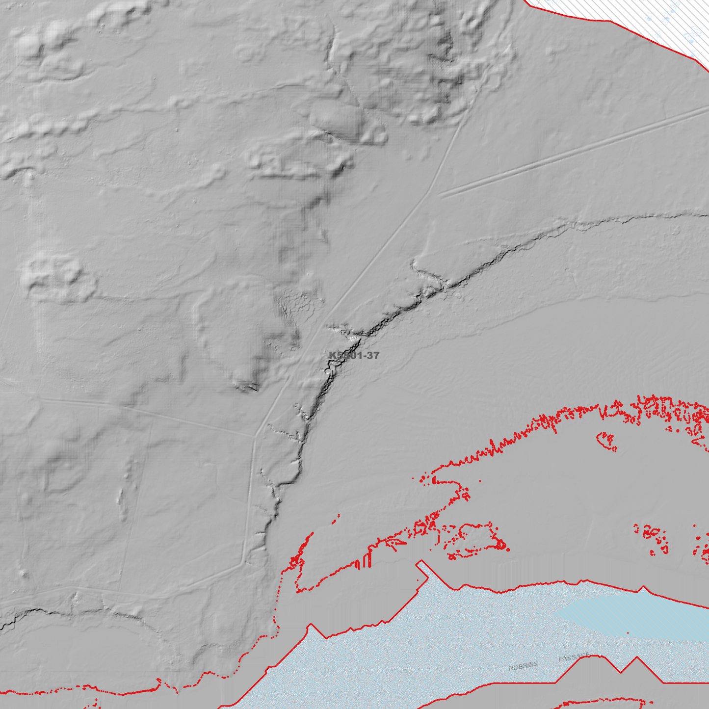 Robbins Island 1m Digital Elevation Model (K5501-37)