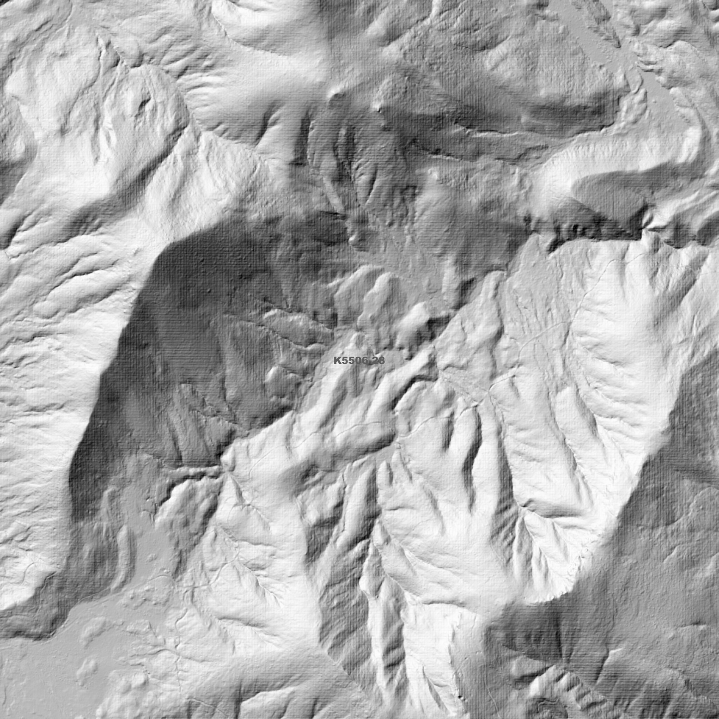 Zeehan 1m Digital Elevation Model (K5506-28)