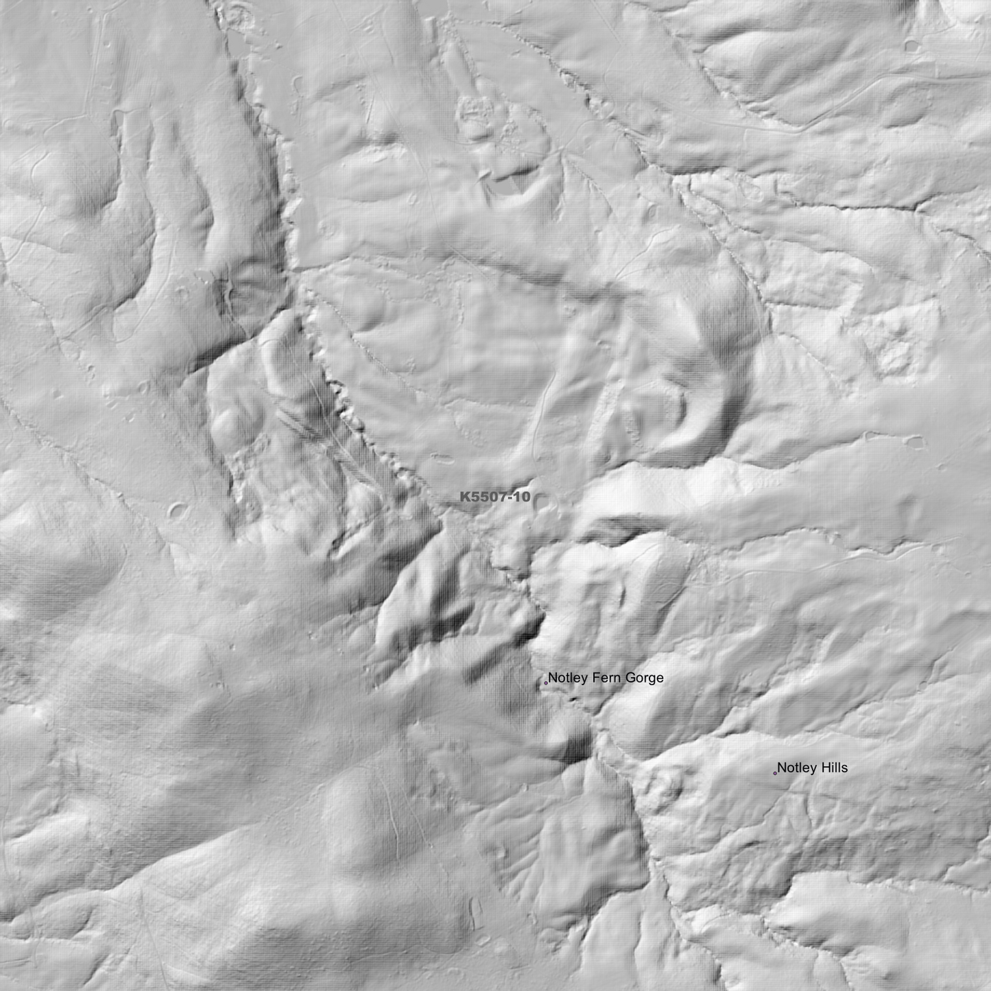 Exeter 1m Digital Elevation Model (K5507-10)