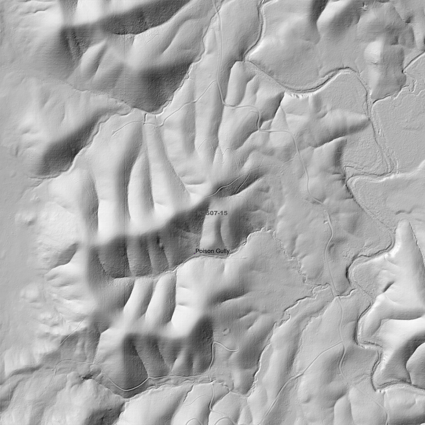 Mount Echo 1m Digital Elevation Model (K5507-15)