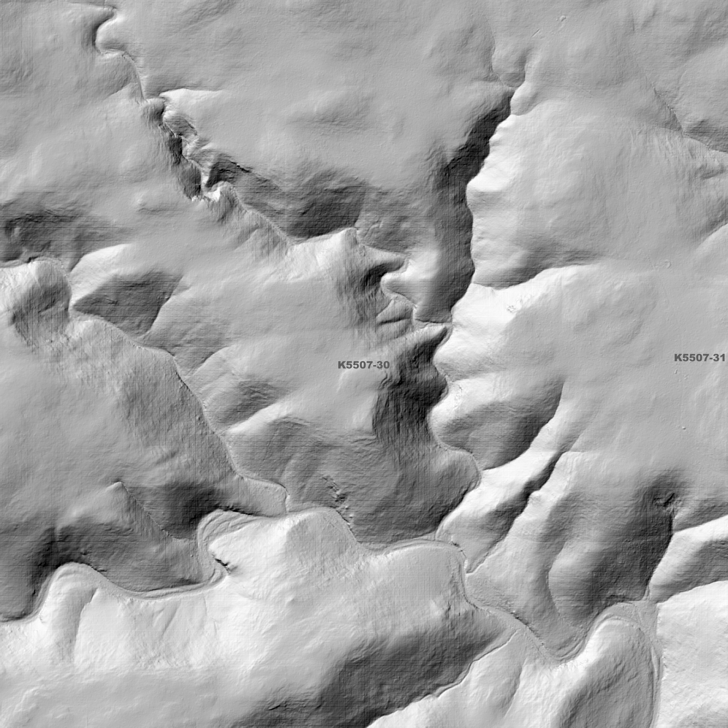 Leipzig 1m Digital Elevation Model (K5507-30)