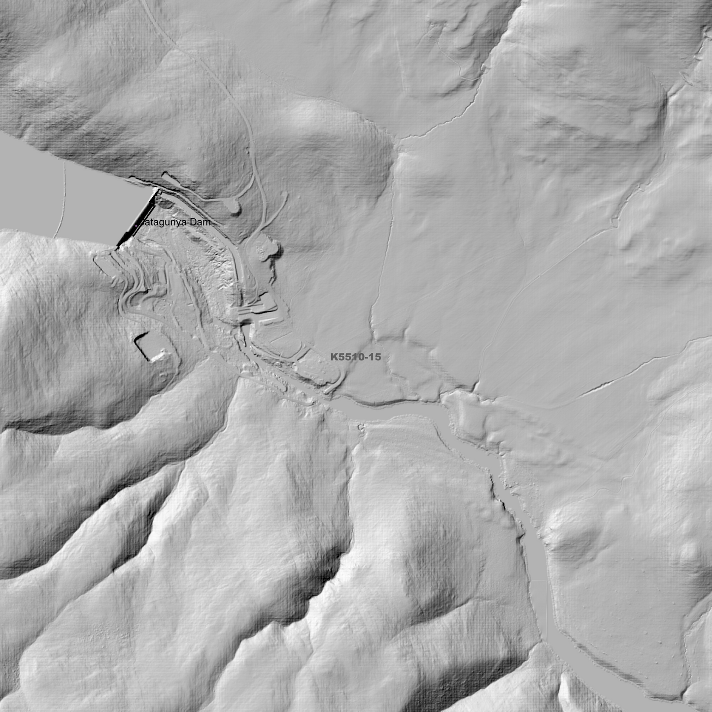 Ouse 1m Digital Elevation Model (K5510-15)