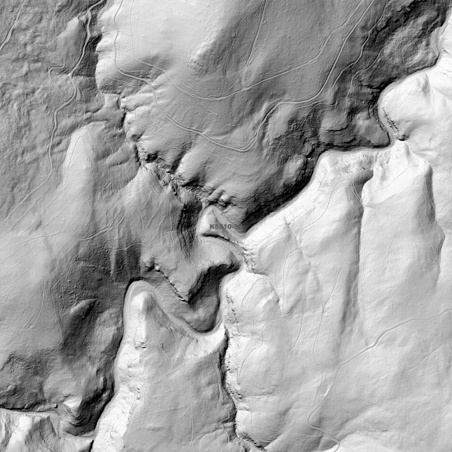 Judbury 1m Digital Elevation Model (K5510-32)