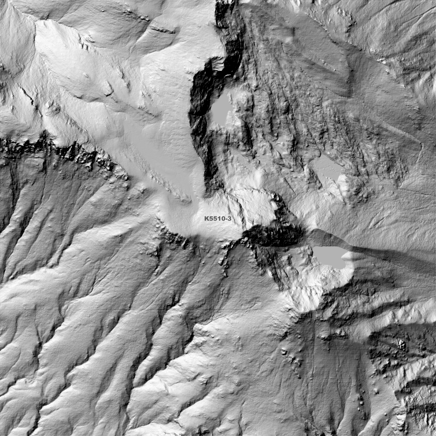 Queenstown 1m Digital Elevation Model (K5510-3)