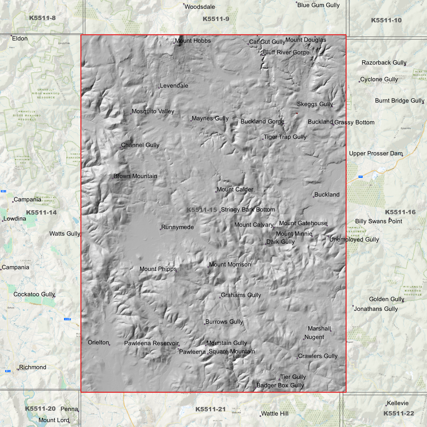 Buckland 1m Digital Elevation Model (K5511-15)