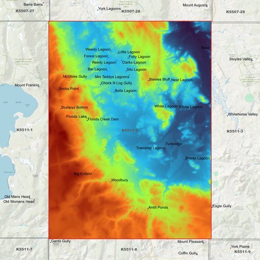 Tunbridge 1m Digital Elevation Model (K5511-2)