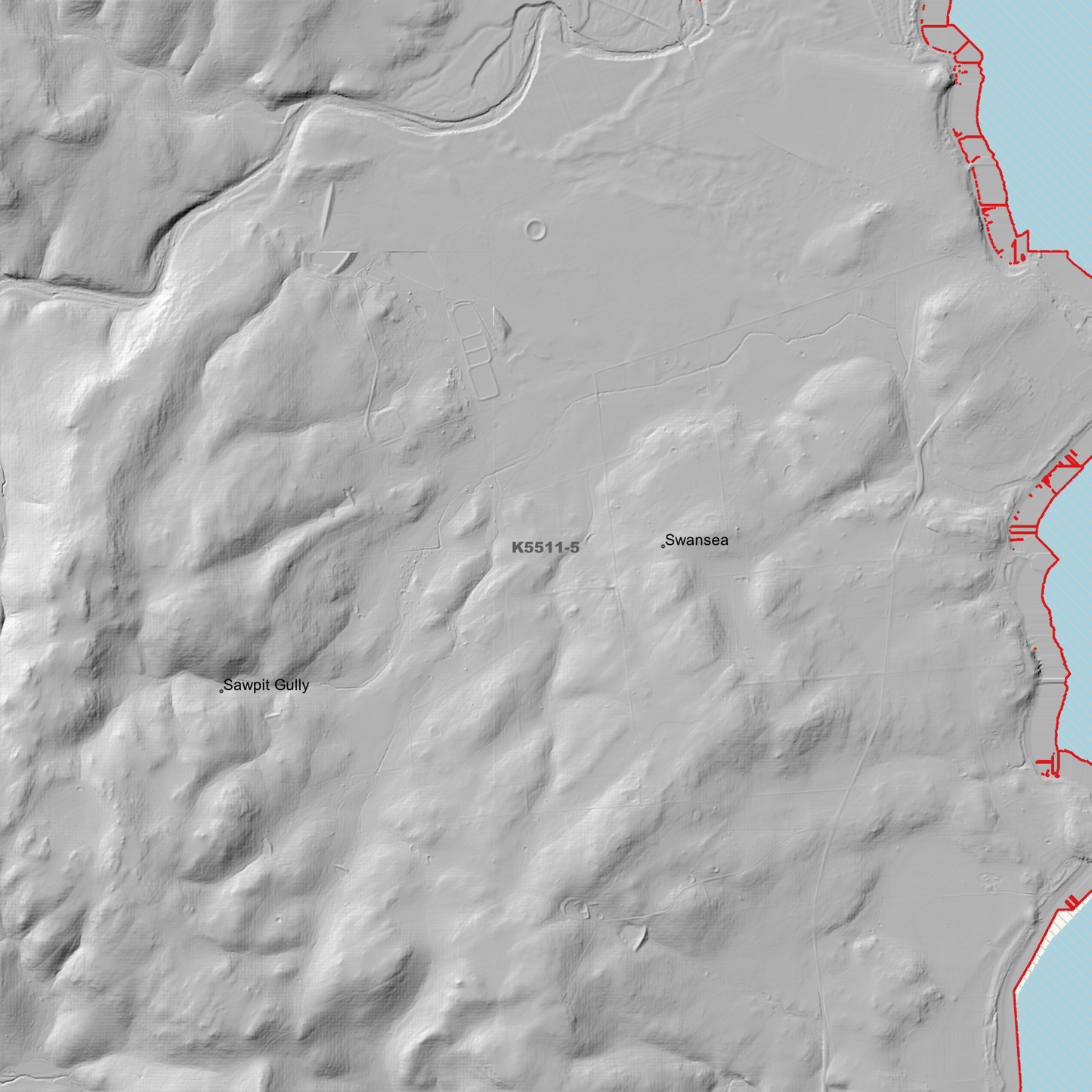 Swansea 1m Digital Elevation Model (K5511-5)