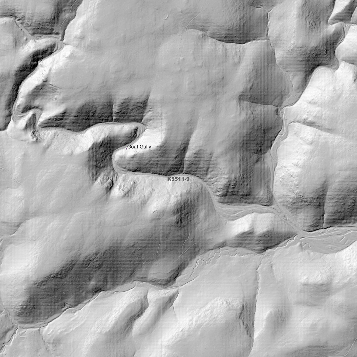 Ponsonby 1m Digital Elevation Model (K5511-9)