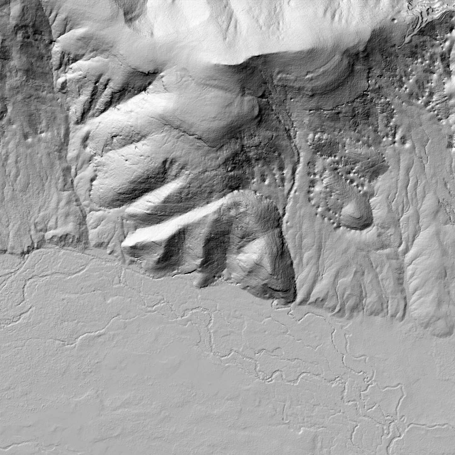 Southport 1m Digital Elevation Model (K5514-12)